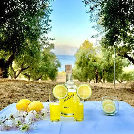 Elaias Thea Sea View Koróni