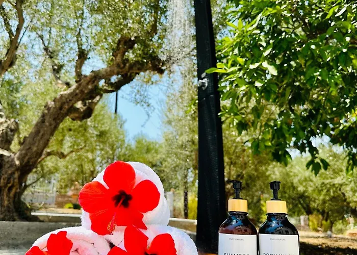 Vakantiehuis Elaias Thea Sea View